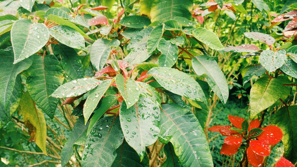 Processed with VSCO with g3 preset