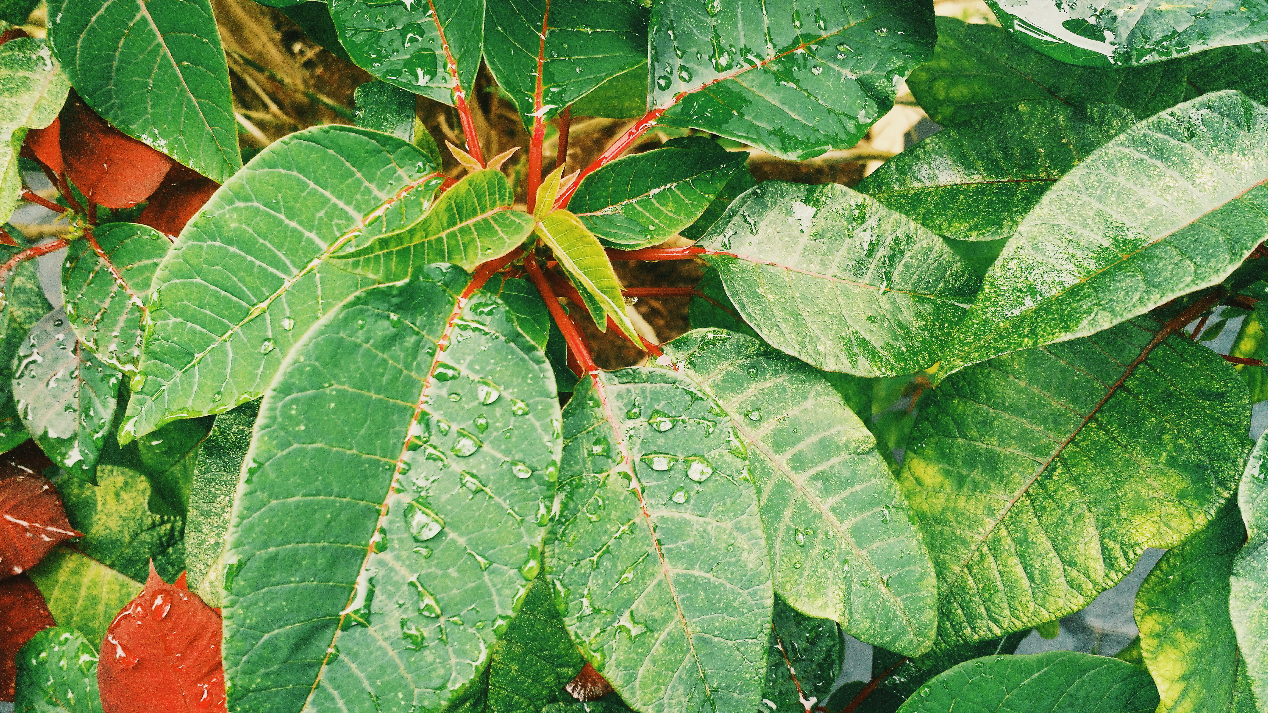 Processed with VSCO with g3 preset