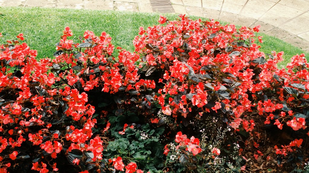 Processed with VSCO with g3 preset