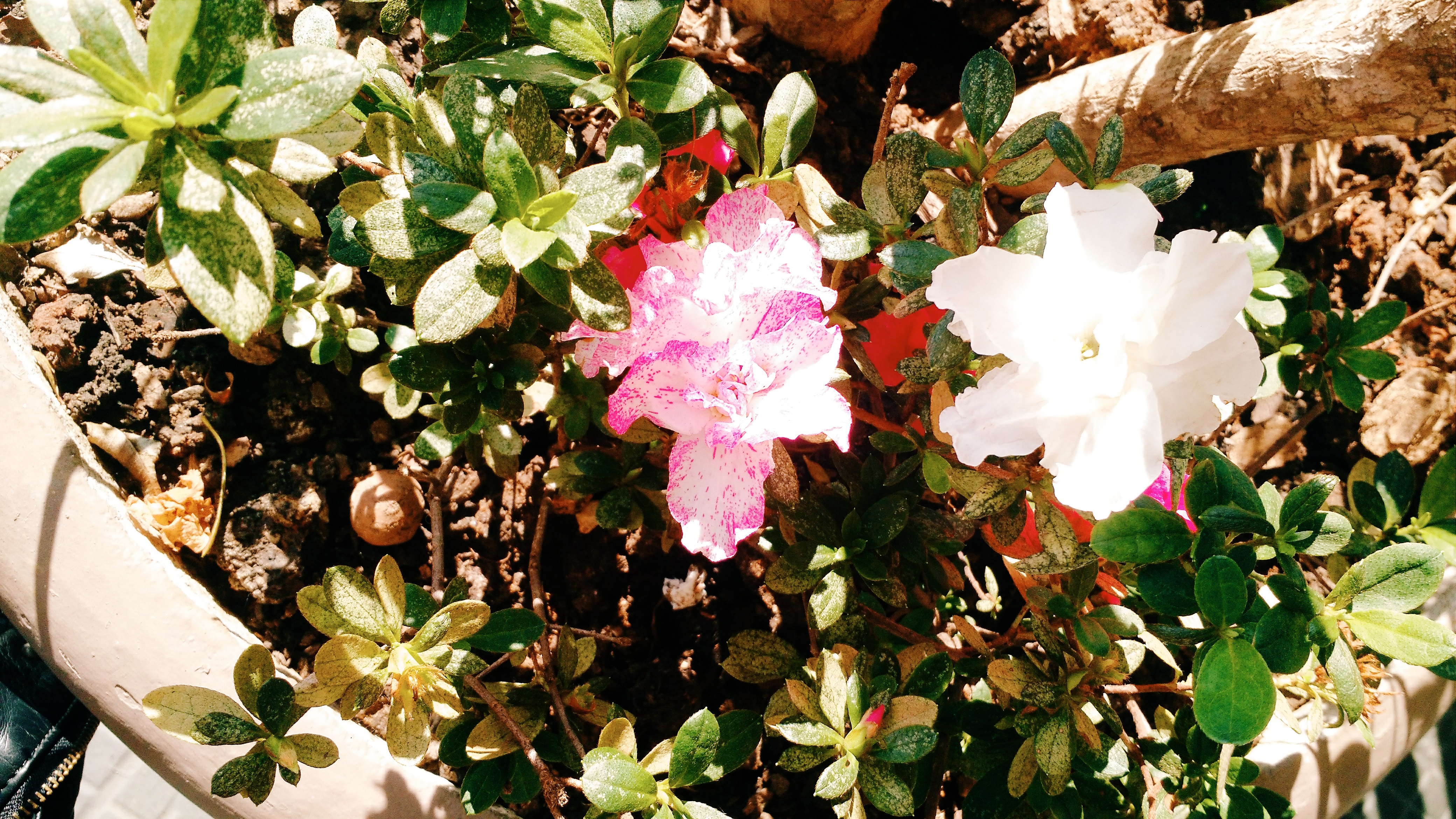 Processed with VSCO with c3 preset