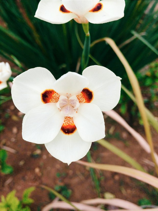 Processed with VSCO with c3 preset