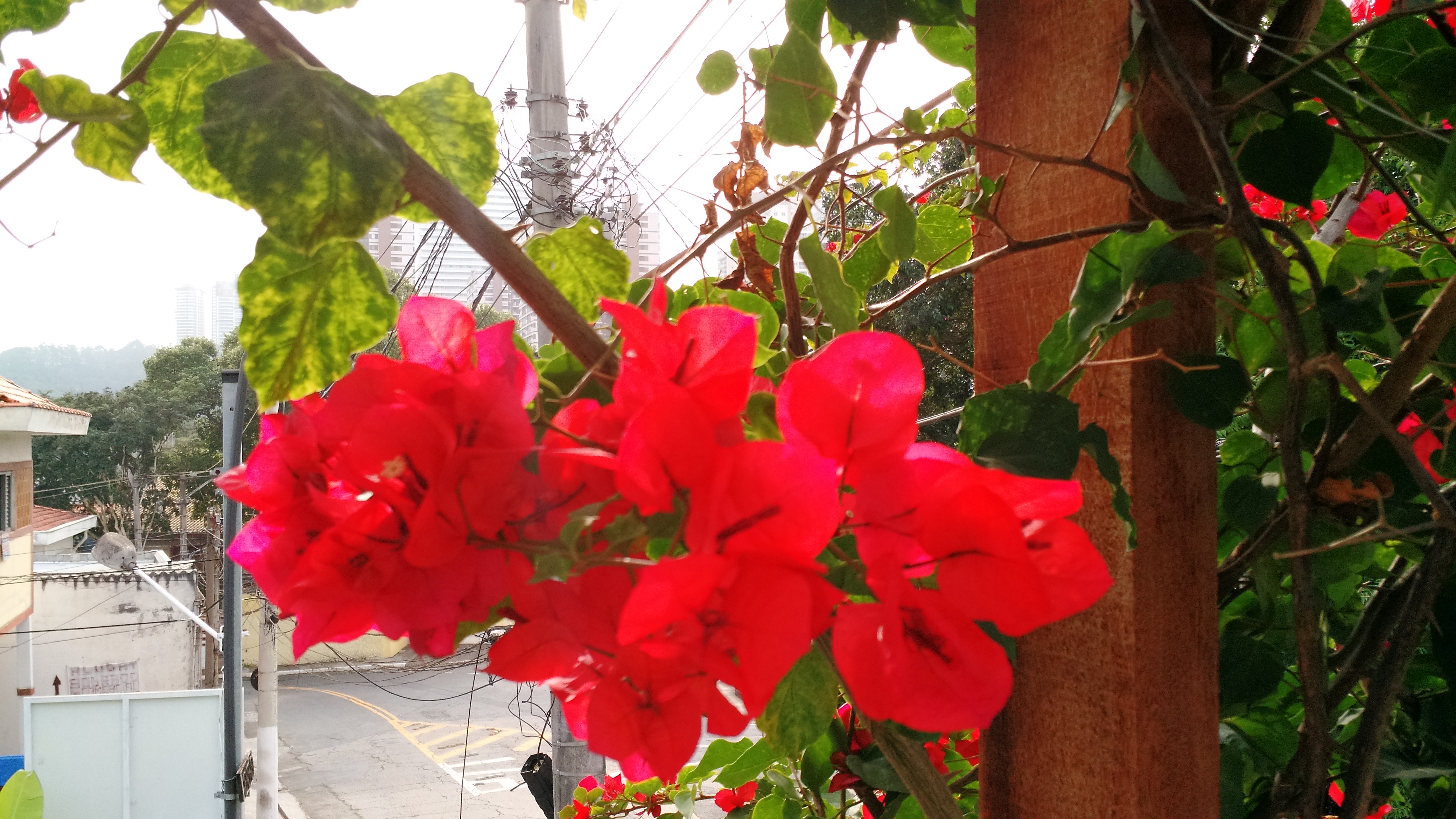 a-beleza-da-natureza-3