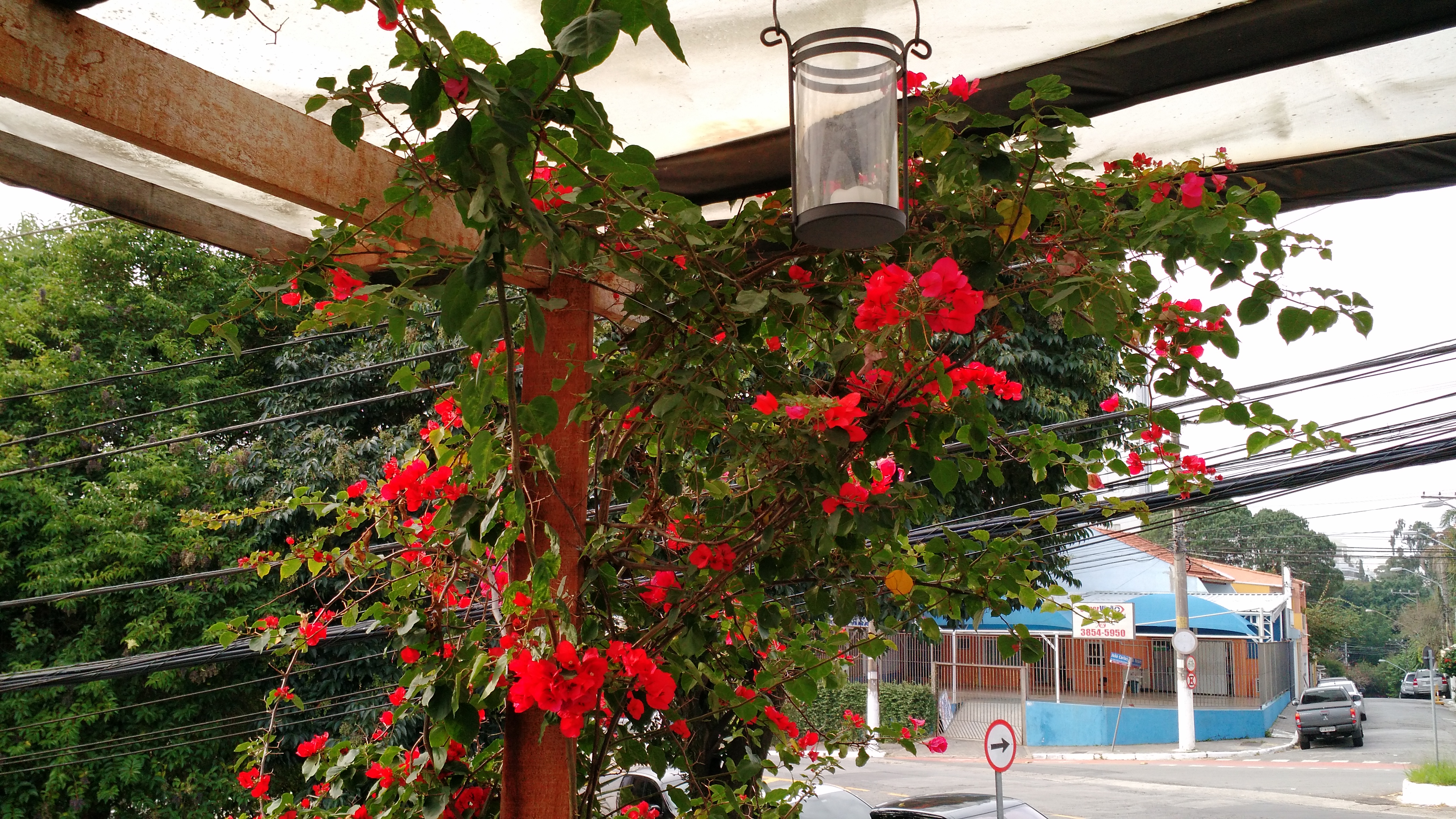 a-beleza-da-natureza-8