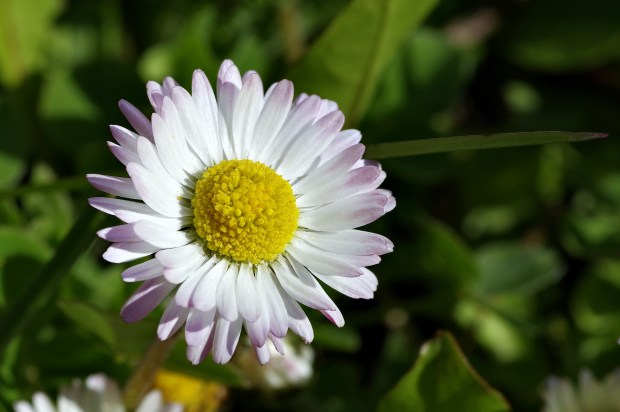 blog-senhorita-deise-julho