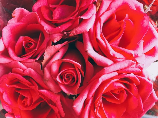 blog-senhorita-deise-destaques-do-instagram- (3)