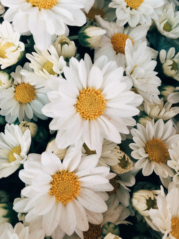 Processed with VSCO with e3 preset