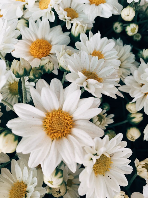 Processed with VSCO with e3 preset