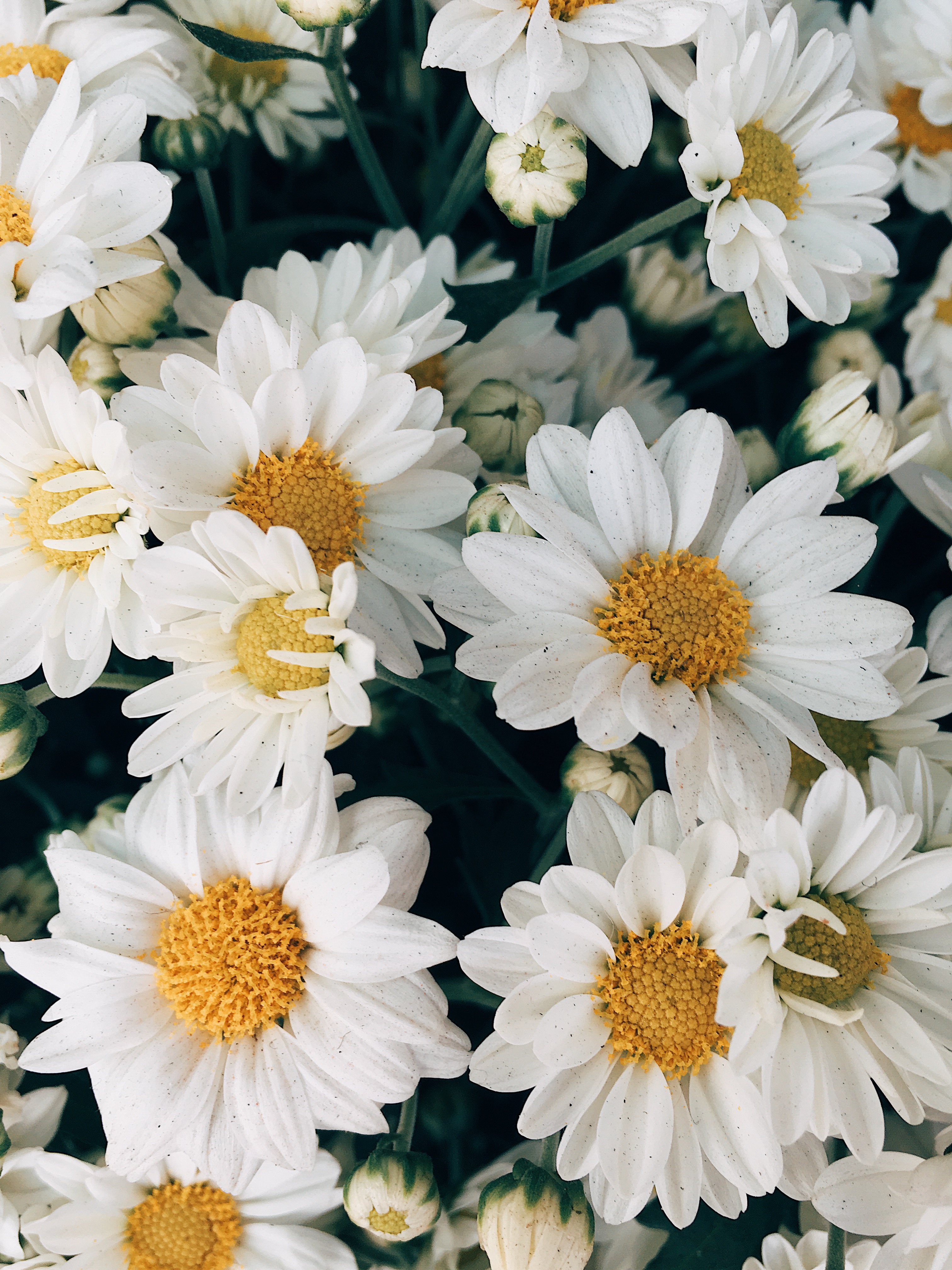 Processed with VSCO with e3 preset