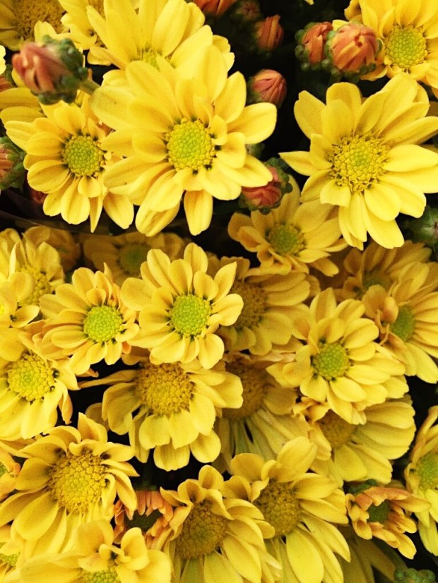 Processed with VSCO with s3 preset