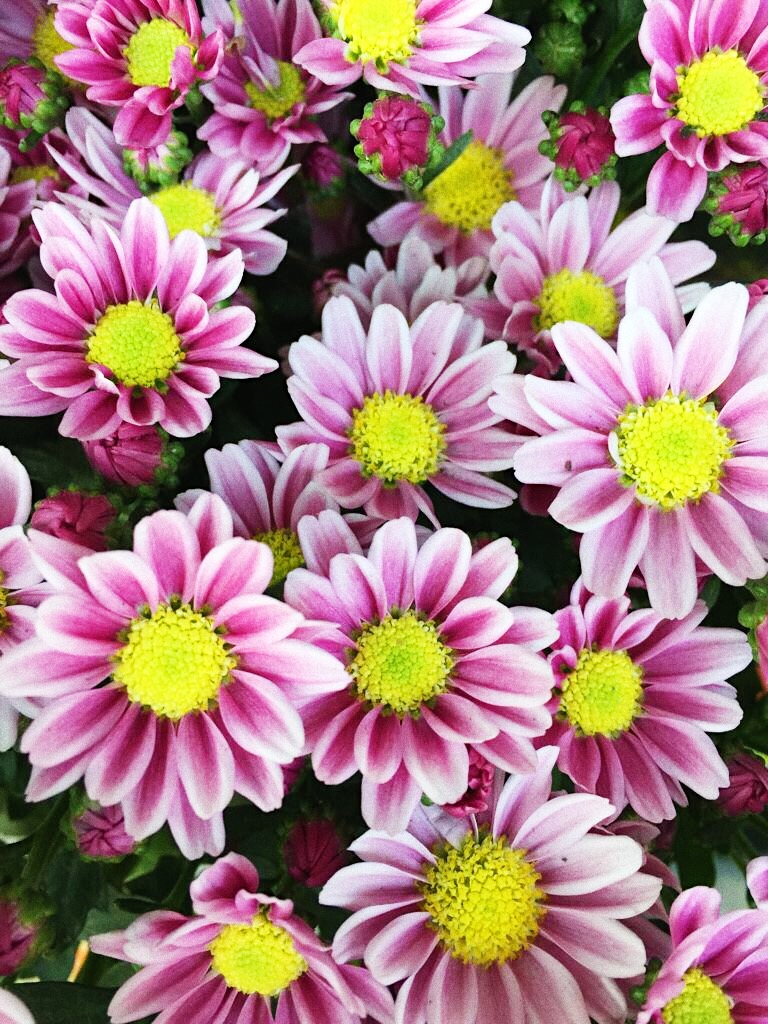 Processed with VSCO with s3 preset