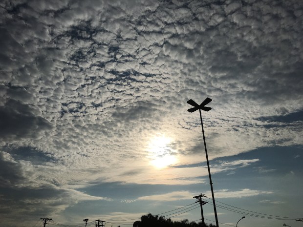 Processed with VSCO with n1 preset