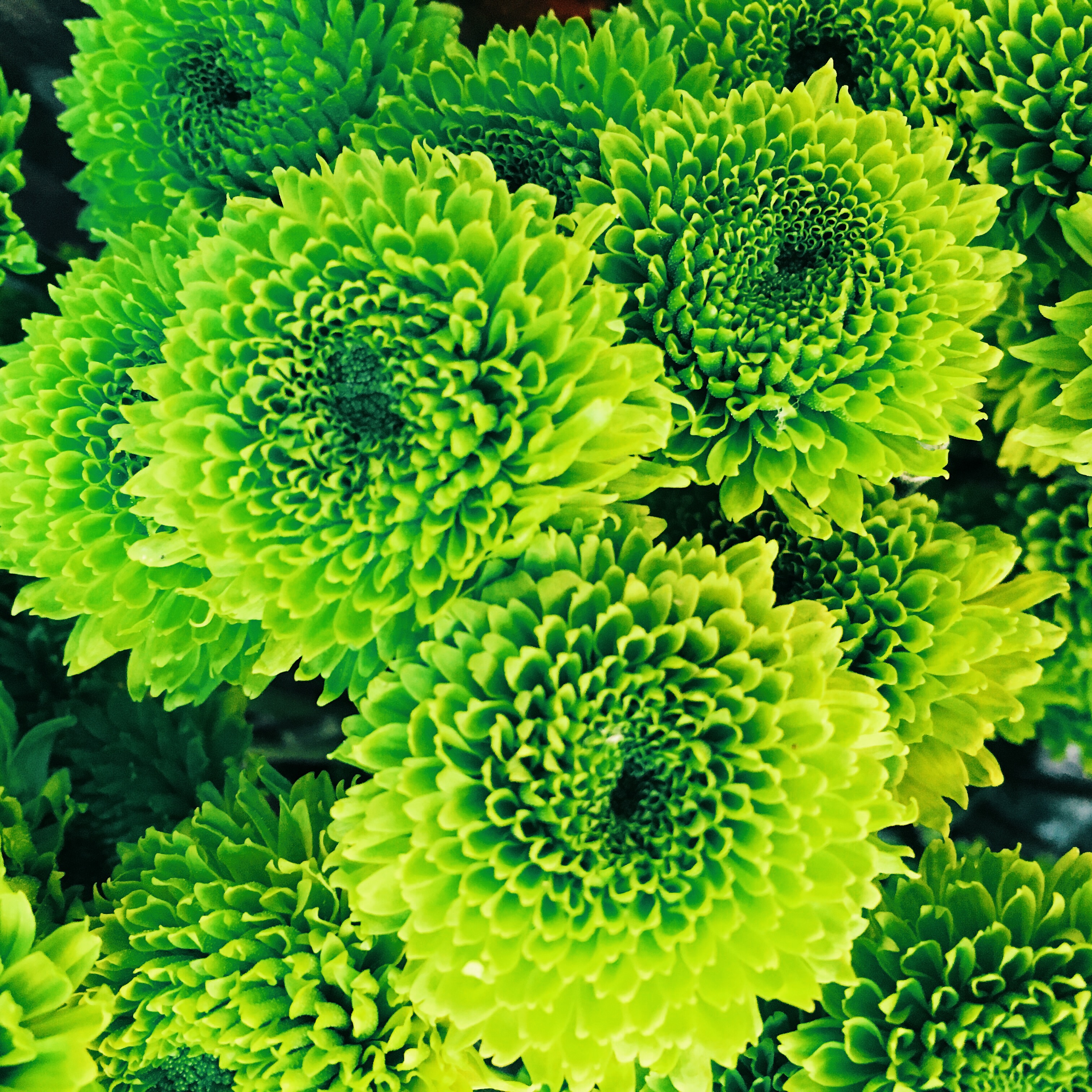 Processed with VSCO with g2 preset