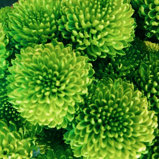 Processed with VSCO with c3 preset