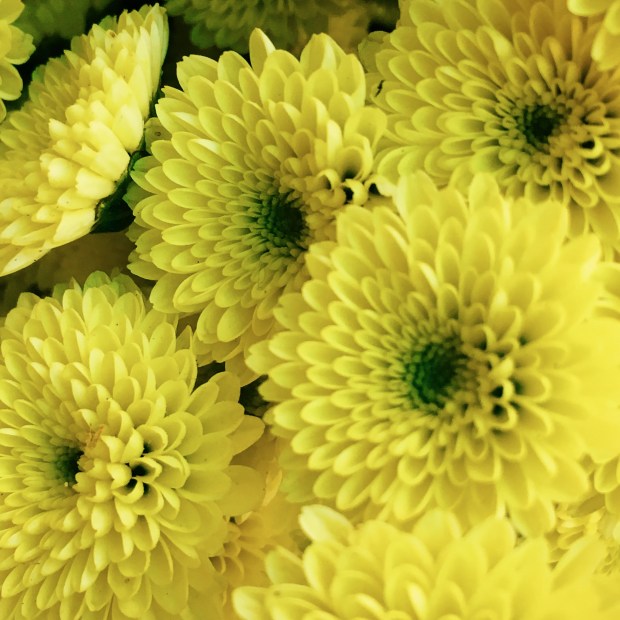 Processed with VSCO with c3 preset