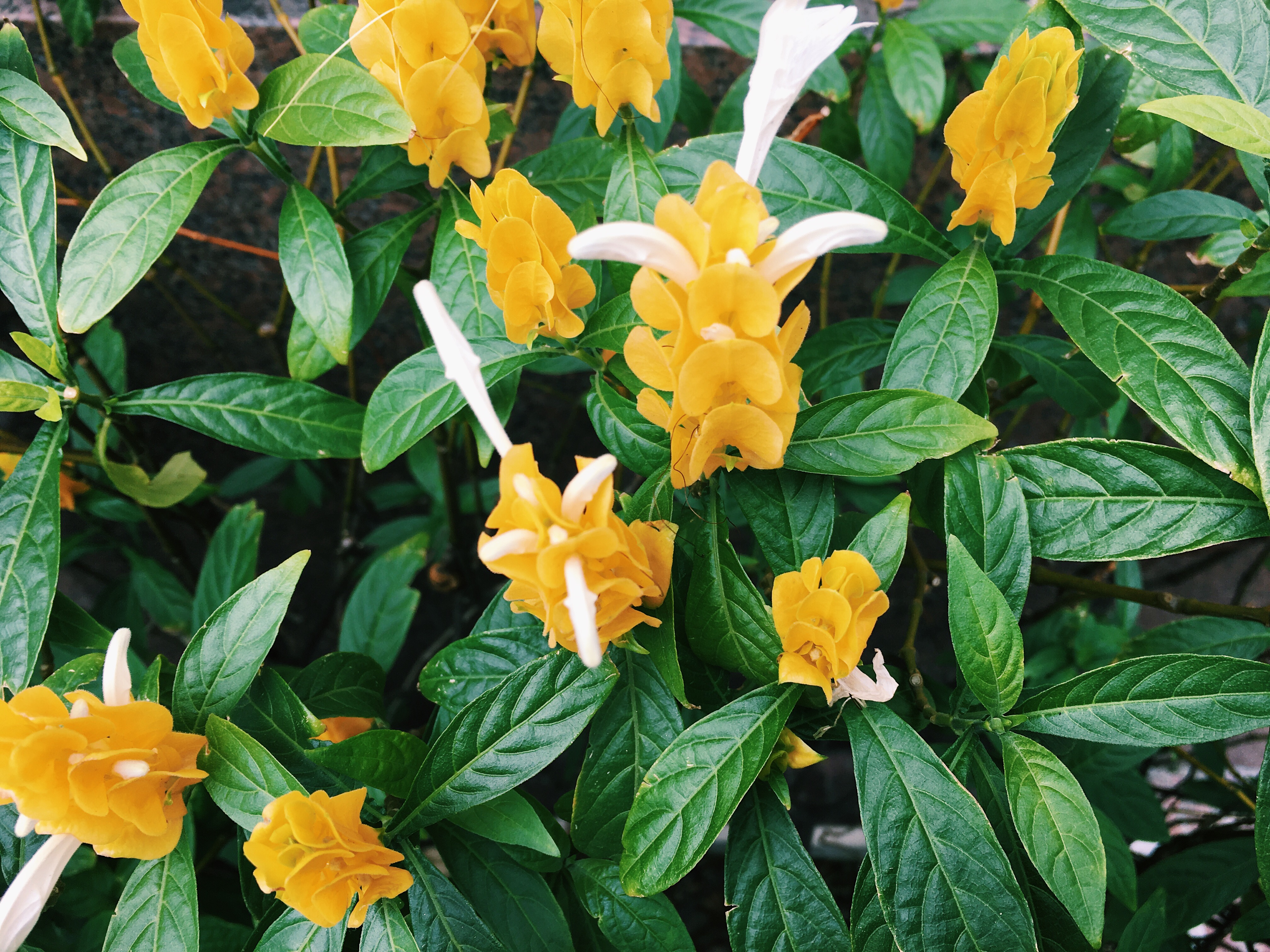 Processed with VSCO with c1 preset