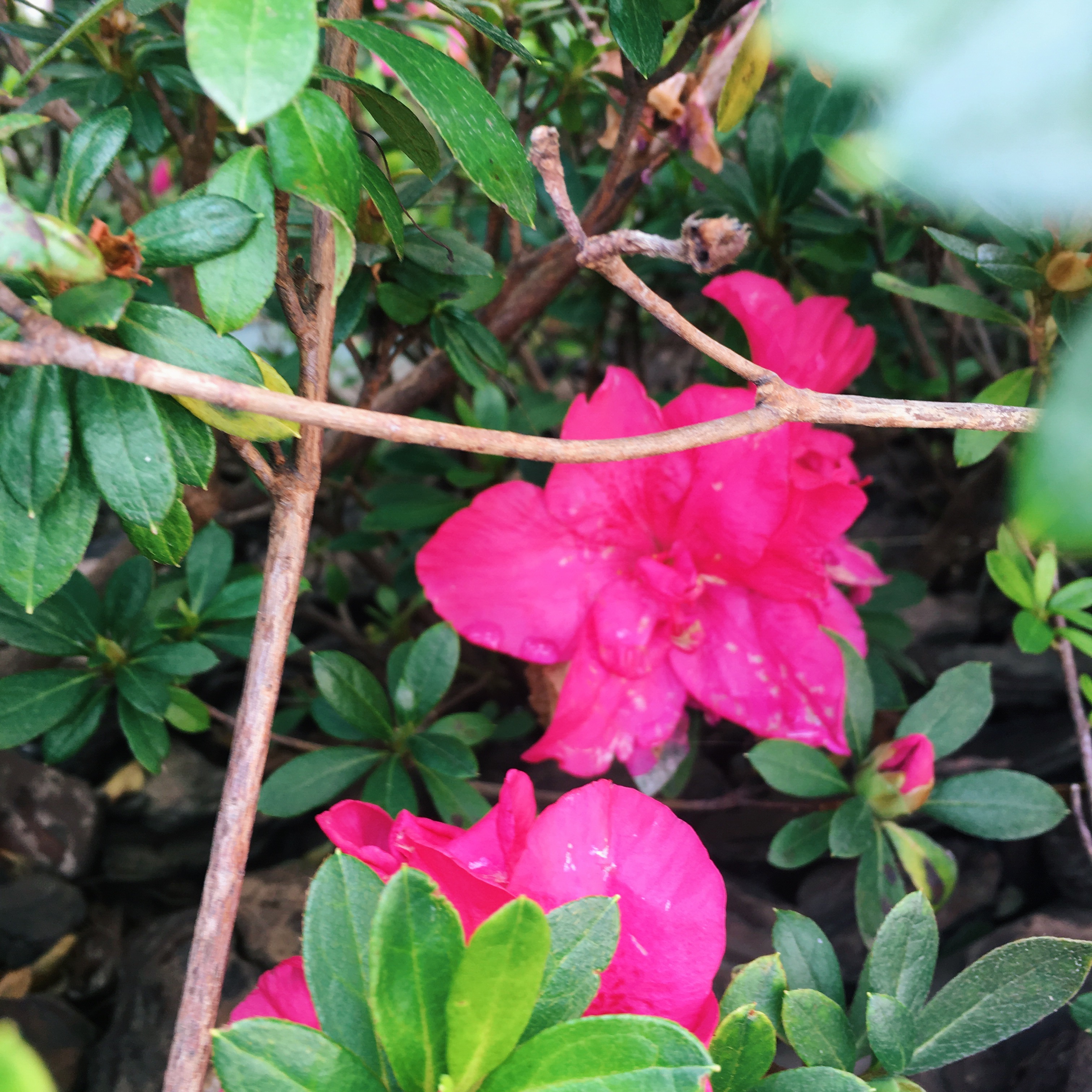 Processed with VSCO with c3 preset