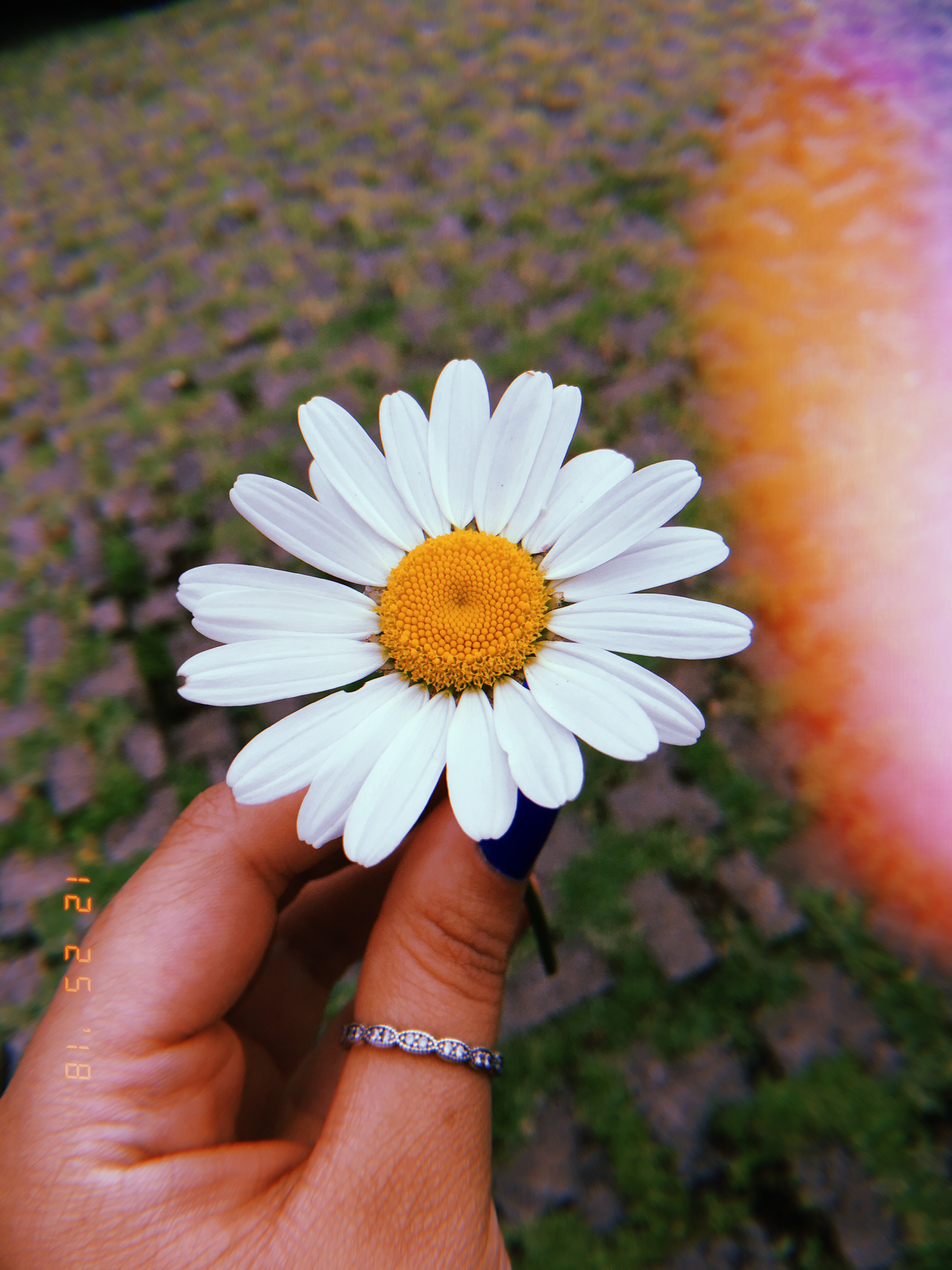 blog-senhorita-deise-diferente