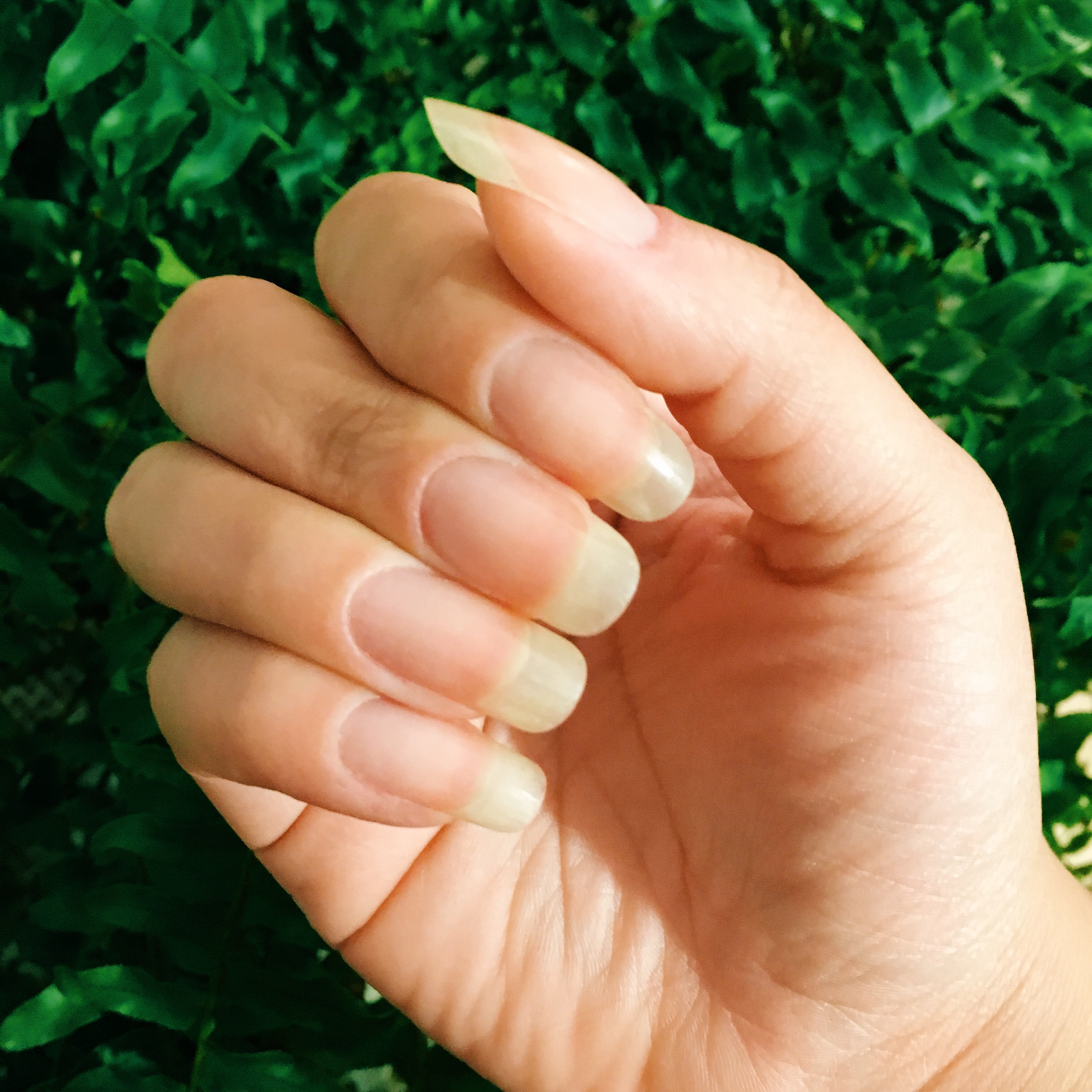 blog-senhorita-deise-mavala-scientifique-nail-hardener-1 (1)