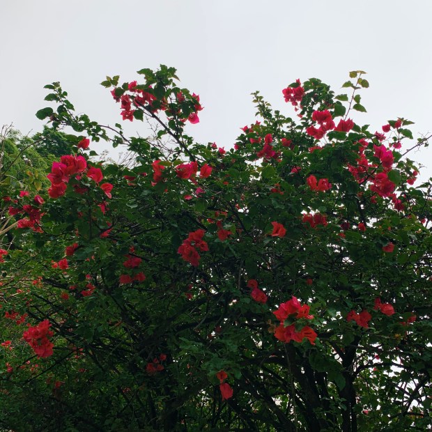 Processed with VSCO with c3 preset