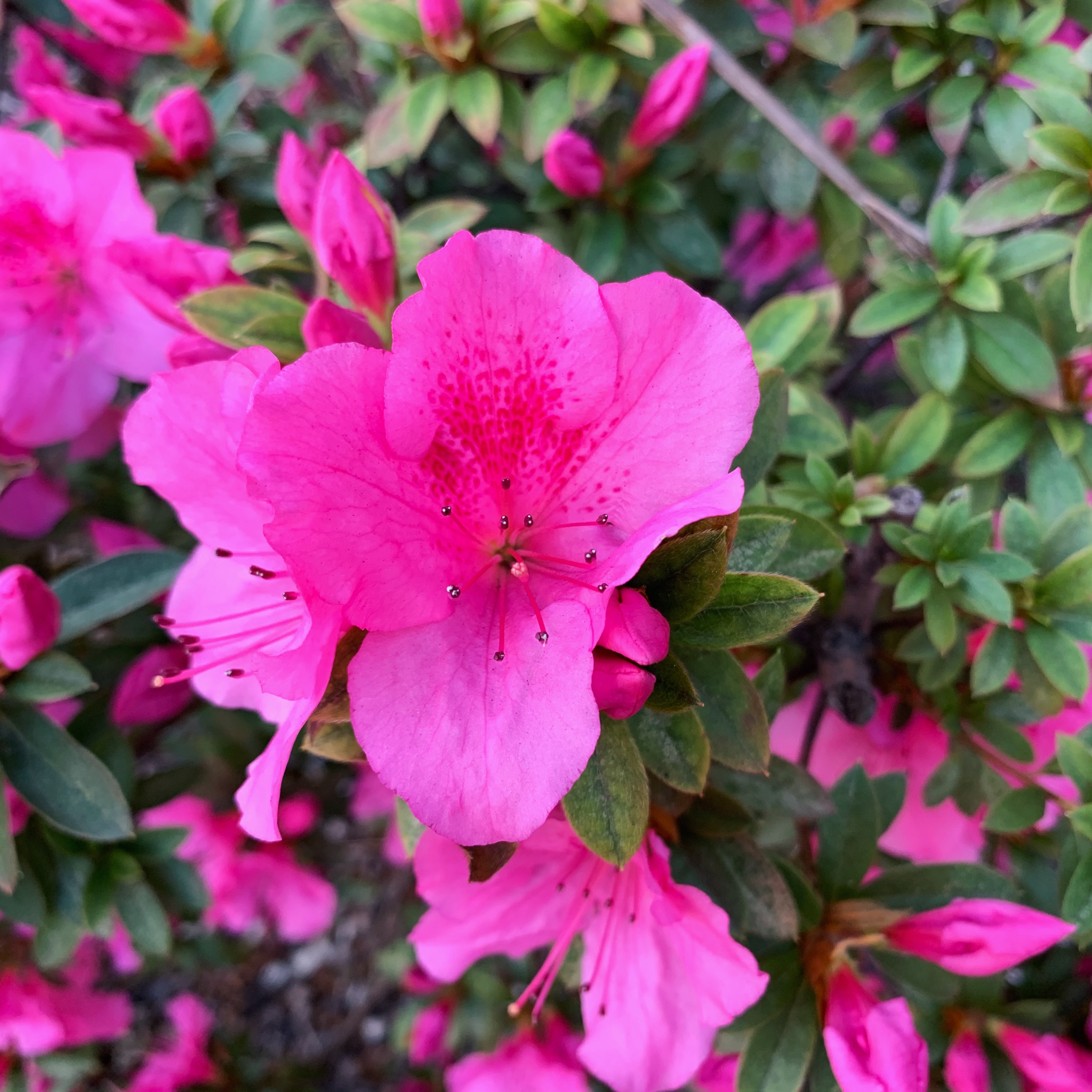 Processed with VSCO with c2 preset