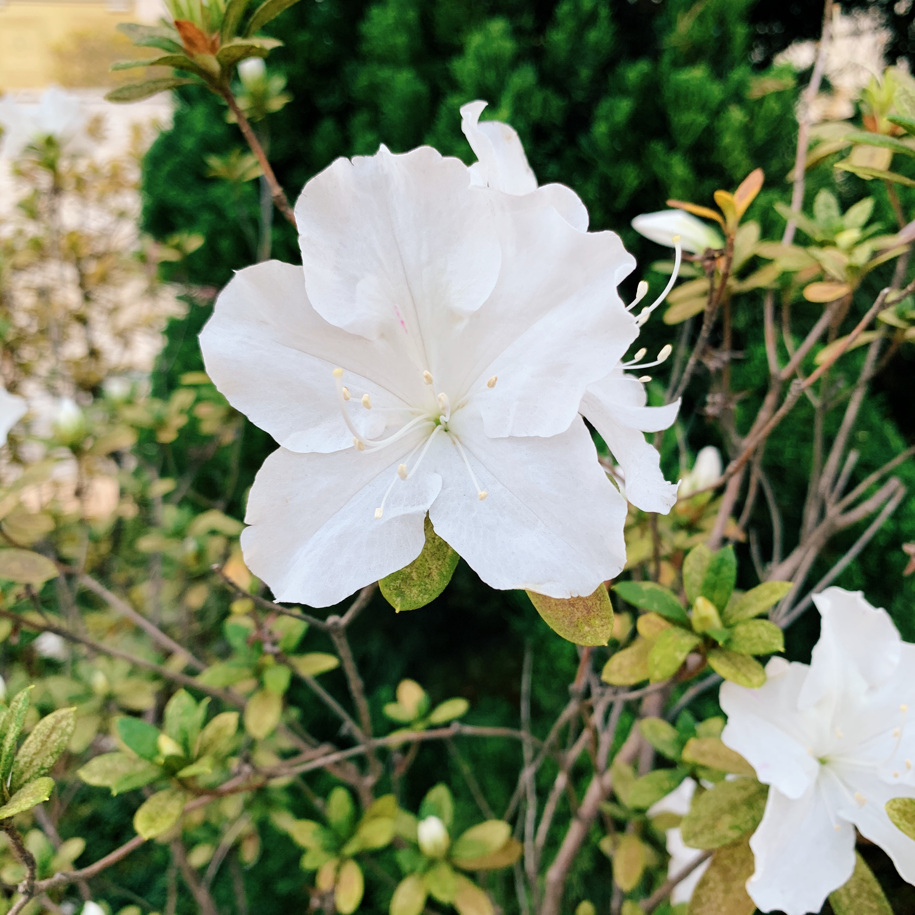 Processed with VSCO with c3 preset